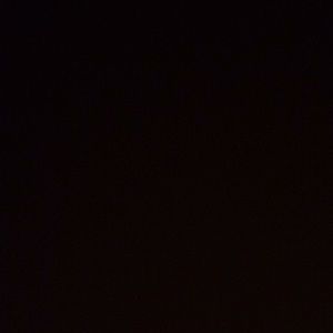 Meet your Posher, Nina